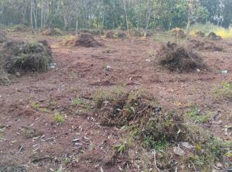 Residential Land, Kollam