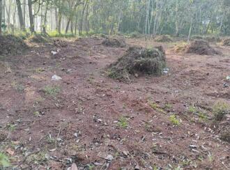 Residential Land for Sale in Kollam, Chathannoor, Chathannoor