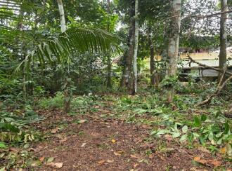 Residential Land, Kottayam