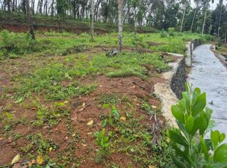 വാസയോഗ്യമായ ഭൂമി വില്പനയ്ക്ക് Pathanamthitta, Pathanamthitta, Mylapra, Mekozhoor