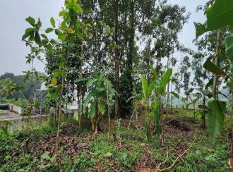 Residential Land for Sale in Kottayam, Kottayam town, Sankranthi, sankranthi