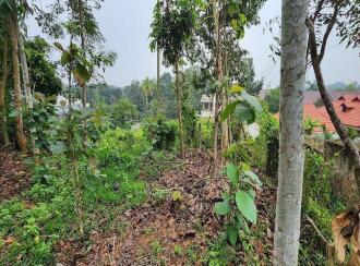 Residential Land for Sale in Kottayam, Kottayam town, Sankranthi, sankranthi
