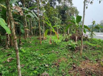 Residential Land for Sale in Kottayam, Kottayam town, Sankranthi, sankranthi