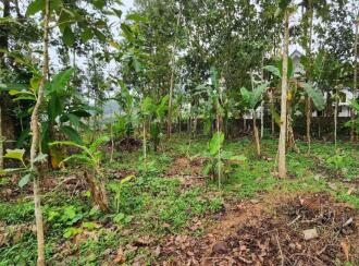 Residential Land for Sale in Kottayam, Kottayam town, Sankranthi, sankranthi