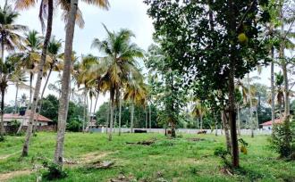 Residential Land for Sale in Kollam, Paravur, Paravur, Kunnath Sreekrishna Temple Paravur