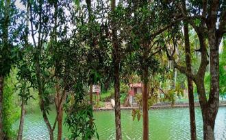 Residential Land for Sale in Kollam, Paravur, Paravur, Kunnath Sreekrishna Temple Paravur