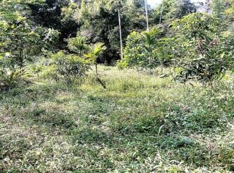 Residential Land for Sale in Ernakulam, Ernakulam town, Poovathussery, Poovathussery junction