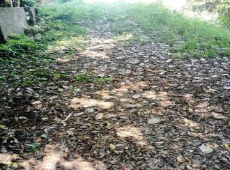 Residential Land for Sale in Ernakulam, Ernakulam town, Poovathussery, Poovathussery junction