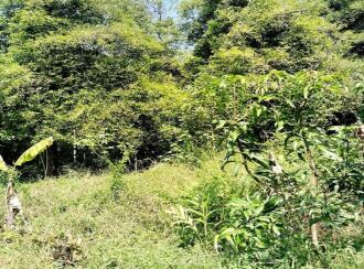 Residential Land for Sale in Ernakulam, Ernakulam town, Poovathussery, Poovathussery junction