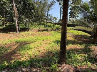 Residential House Villa for Sale in Pathanamthitta, Pathanamthitta, Thonniamala, St. Thomas Mar Thoma Syrian Church, Thonniamala
