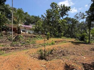 Residential House Villa for Sale in Pathanamthitta, Pathanamthitta, Thonniamala, St. Thomas Mar Thoma Syrian Church, Thonniamala