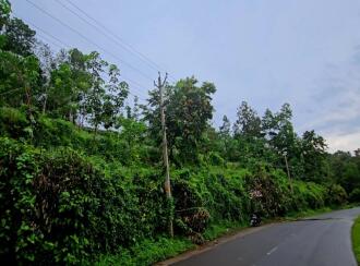 Agricultural Land for Sale in Pathanamthitta, Ranni, Athikkayam, Athikkayam