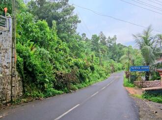 Agricultural Land for Sale in Pathanamthitta, Ranni, Athikkayam, Athikkayam