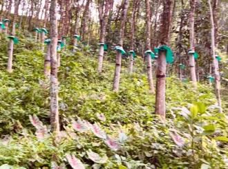 Residential Land for Sale in Kollam, Kottarakkara, Kunnicode