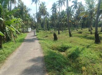Agricultural Land for Sale in Thrissur, Chavakkad, Elavally, Karshaka road