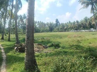 Agricultural Land for Sale in Thrissur, Chavakkad, Elavally, Karshaka road