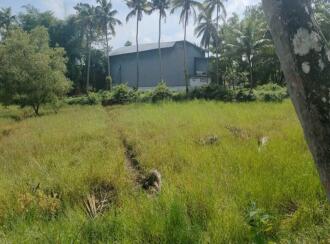 Agricultural Land for Sale in Thrissur, Chavakkad, Elavally, Karshaka road