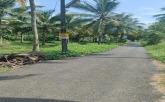 Agricultural Land for Sale in Thrissur, Chavakkad, Elavally, Karshaka road