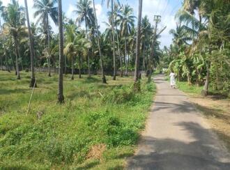 Agricultural Land for Sale in Thrissur, Chavakkad, Elavally, Karshaka road