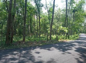 Residential Land for Sale in Ernakulam, Muvattupuzha, Vazhakulam, Manjalloor