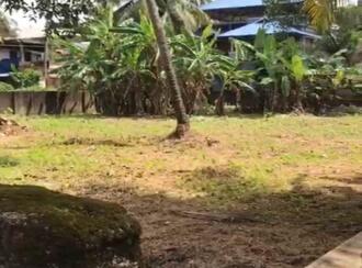 Residential Land for Sale in Ernakulam, Tripunithura, Tripunithura, Petta