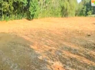 Residential Land for Sale in Palakkad, Alathur, Padur , Padur Mini Industrial Estate