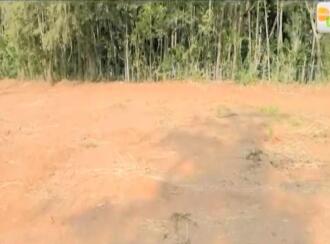 Residential Land for Sale in Palakkad, Alathur, Padur , Padur Mini Industrial Estate