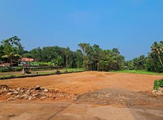 Commercial Land for Sale in Pathanamthitta, Adoor, Parakode