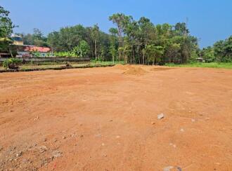 Commercial Land for Sale in Pathanamthitta, Adoor, Parakode