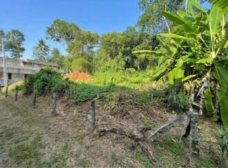 Residential Land for Sale in Kottayam, Karukachal, Nedumkunnam