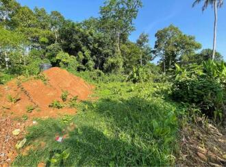 Residential Land for Sale in Kottayam, Karukachal, Nedumkunnam