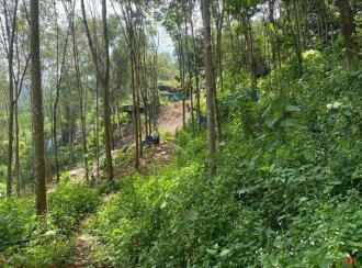 Agricultural Land for Sale in Ernakulam, Muvattupuzha, Marady, NEAR SHOOLAM WATER FALLS