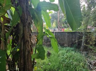 Residential Land for Sale in Trivandrum, Thiruvananthapuram, Mannanthala, https://maps.app.goo.gl/obMv6AQhGrrEdh3s6