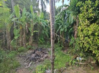 Residential Land for Sale in Trivandrum, Thiruvananthapuram, Mannanthala, https://maps.app.goo.gl/obMv6AQhGrrEdh3s6