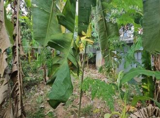 Residential Land for Sale in Trivandrum, Thiruvananthapuram, Mannanthala, https://maps.app.goo.gl/obMv6AQhGrrEdh3s6