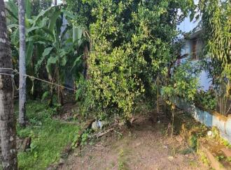 Residential Land for Sale in Trivandrum, Thiruvananthapuram, Mannanthala, https://maps.app.goo.gl/obMv6AQhGrrEdh3s6