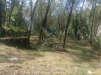 Residential Land for Sale in Kottayam, Kottayam town, Athirampuzha, https://maps.app.goo.gl/jGmMR4Ne5vDcnWXg6