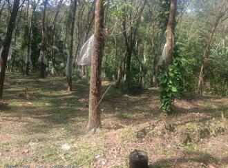 Residential Land for Sale in Kottayam, Kottayam town, Athirampuzha, https://maps.app.goo.gl/jGmMR4Ne5vDcnWXg6