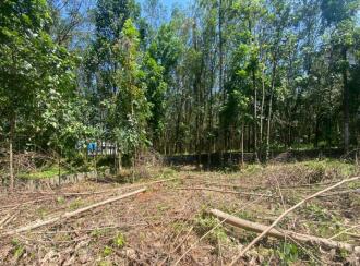 Residential Land for Sale in Ernakulam, Perumbavoor, Kodanad, Koranganchal