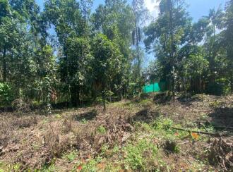 Residential Land for Sale in Ernakulam, Perumbavoor, Kodanad, Koranganchal