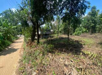 Residential Land for Sale in Ernakulam, Perumbavoor, Kodanad, Koranganchal