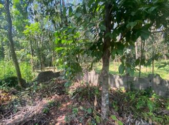 Residential Land for Sale in Ernakulam, Perumbavoor, Kodanad, Koranganchal