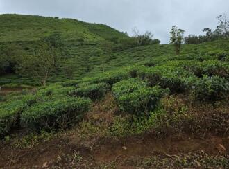 Commercial Land for Sale in Idukki, Vagamon, Vagamon, Chottupara