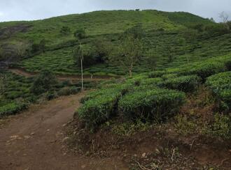 Commercial Land for Sale in Idukki, Vagamon, Vagamon, Chottupara