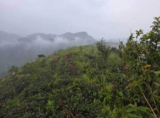 Commercial Land for Sale in Idukki, Vagamon, Vagamon, Chottupara