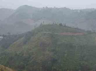 Commercial Land for Sale in Idukki, Vagamon, Vagamon, Chottupara