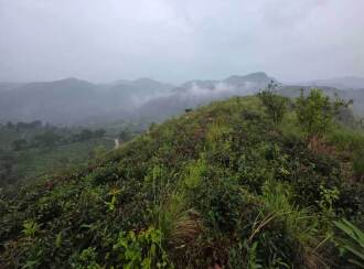 Commercial Land for Sale in Idukki, Vagamon, Vagamon, Chottupara