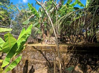 Residential House Villa for Sale in Kottayam, Kottayam town, Puthuppally, thalappady