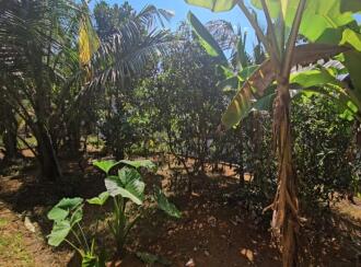 Residential House Villa for Sale in Kottayam, Kottayam town, Puthuppally, thalappady