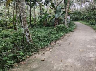 Agricultural Land for Sale in Trivandrum, Nedumangad, Vithura, Perethupara, Vithura p.o